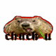 Logo de ChuckU Keep On Chuckin' 70's