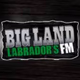 Logo de Big Land - CFLN-FM