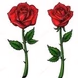 RoseLabel logo