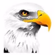 Logo de The Eagle