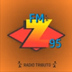 Logo de z95radio