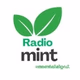 Logo de Radio Mint