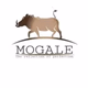 Logo de Mogale FM