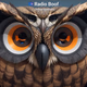 Logo de Radio Boof - Instrumental