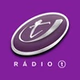 Rádio T Faxinal logo