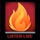 Logo de Northeast Iowa Public Safety