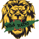 Logo de ViiLD Reggae
