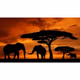 Logo de Blue Sky FM - Ambient