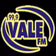Logo de Rádio Vale 99.9 FM