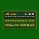 Robin Hood Radio - WHDD logo