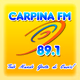 Logo de Carpina FM 89.1