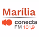 Logo de Rádio Conecta 101.9 FM