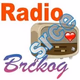 Logo de Radio Srcebrckog