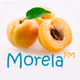 MorelaFM logo