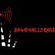 Logo de Saale Funk