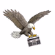 Logo de Eagle Grove Classic Hits