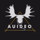 Logo de Auideo Radio