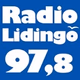Logo de Radio Lidingö