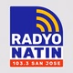 Radyo Natin San Jose Nueva Ecija - DWSY logo