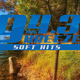 Logo de 94.3 The Breeze - WZNL