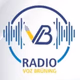 Logo de Radio Voz Brüning