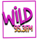 Logo de WILD 95.3 FM