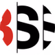 BSS Hardstyle Radio logo