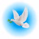 Logo de Radio Palabra Celestial