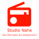 Logo de Studio Nahe