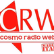 Logo de COSMO RADIO WEB