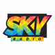 Logo de Sky Réunion