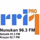 Logo de RRI - PRO1 Nunukan