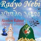 Logo de Radyo Nebi