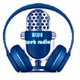 Logo de Blue Web Radio