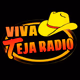 Logo de Viva Teja Radio