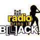 Logo de Radio Bring it