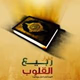 Logo de Rabee Al Qloub