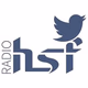 Logo de Radio HSF 98.1