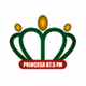 Rádio Princesa logo