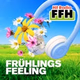 Logo de Hit Radio FFH - FRÜHLINGS FEELING