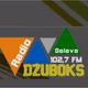 Logo de Radio Dzuboks