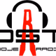 Logo de Radio Strzelin