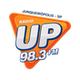 Radio Play Hits Radio Junqueirópolis logo