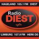Logo de Radio Diest