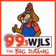 Logo de 99.5 WJLS - WJLS-FM