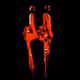 Logo de SiameseTwins