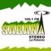 Logo de Sabana Stereo 100.1