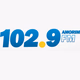 Logo de Rádio Amorim 102.9 FM