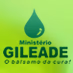 Logo de Rádio Web Ministério Gileade