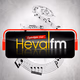 Logo de AmedFM